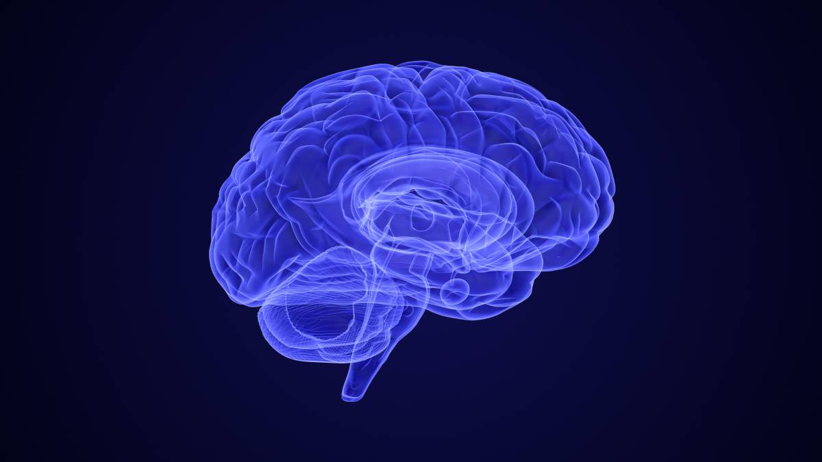 Clearance of Brain Waste Under Anesthesia 
