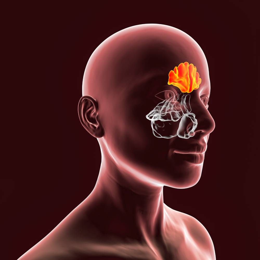 Endoscopic Sinus Surgery 