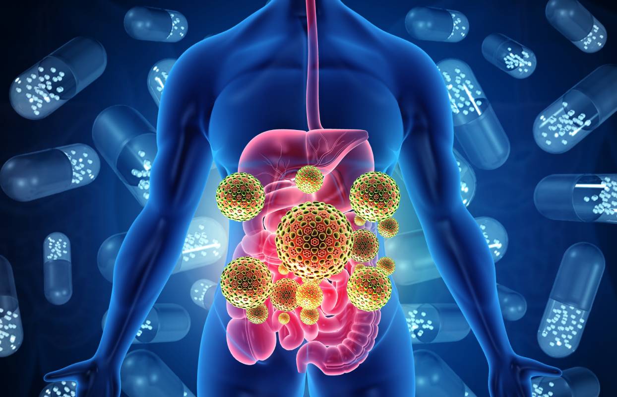 Infectious Diseases in the US 